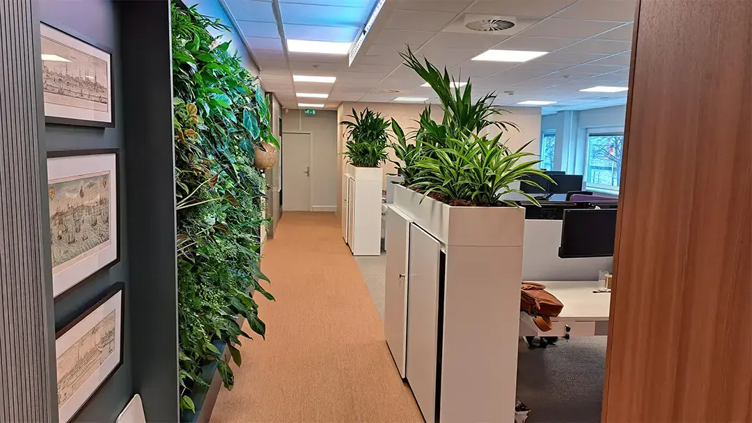 Boompjes rotterdam 1 projecten adviesbureauvriesema