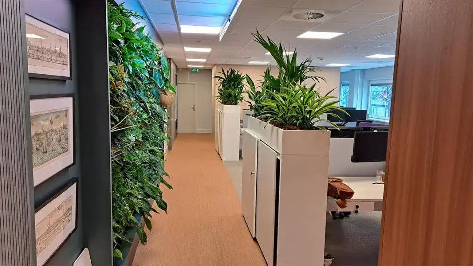 Boompjes rotterdam 1 projecten adviesbureauvriesema